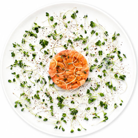 Tortino di Salmone e Burrata